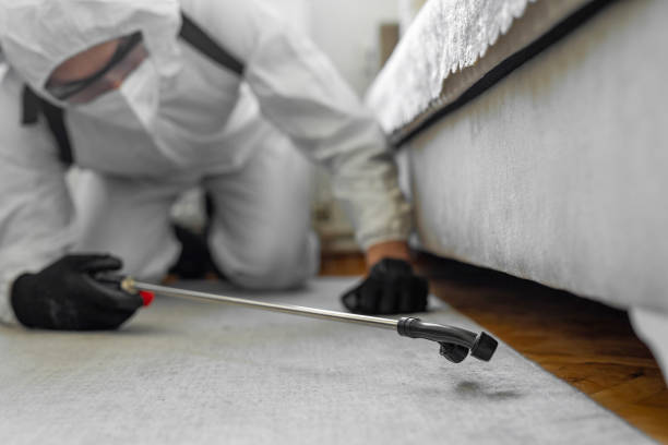 Professional Pest Control technician working in Jefferson County County, FL